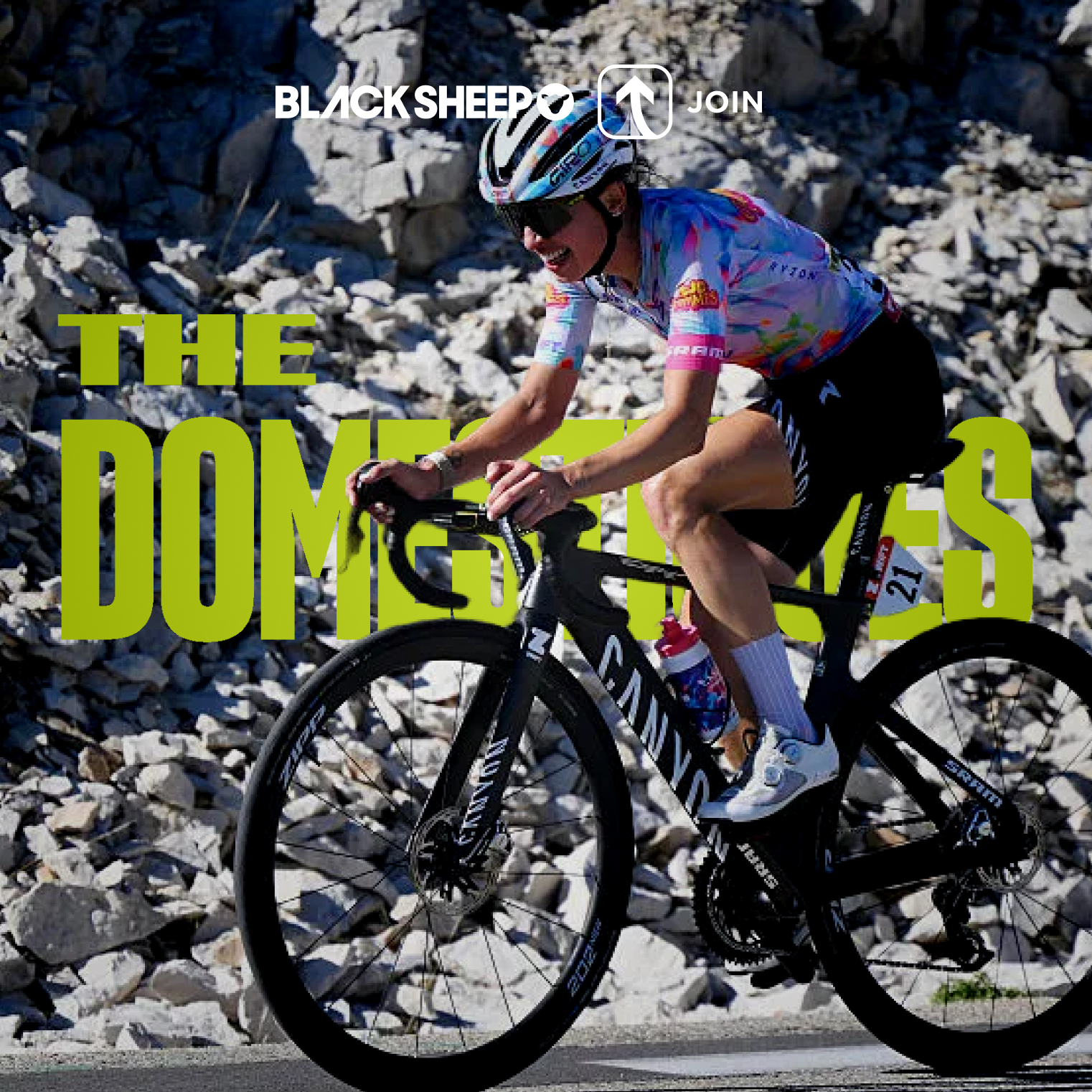 Stage 7: A New Queen on Mont Ventoux